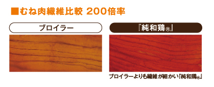 ニチレイフレッシュ
